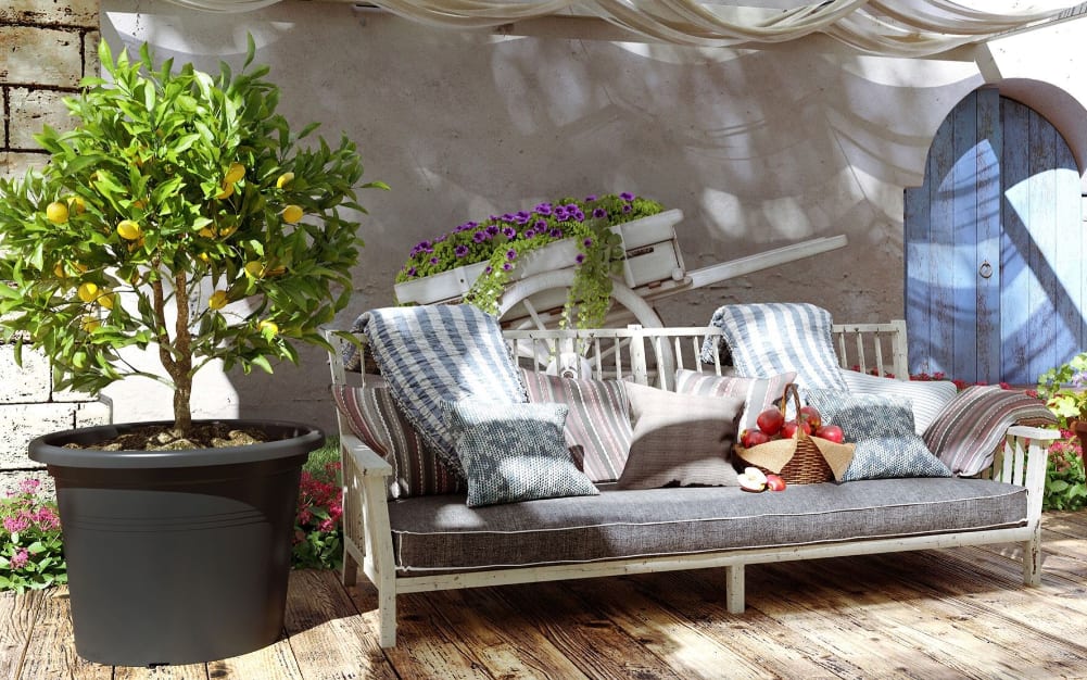 [object Object] image 2