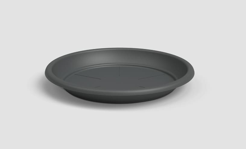 [object Object] image 0