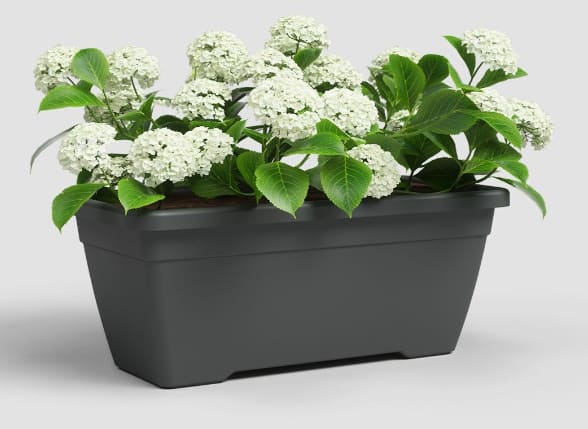 [object Object] image 0