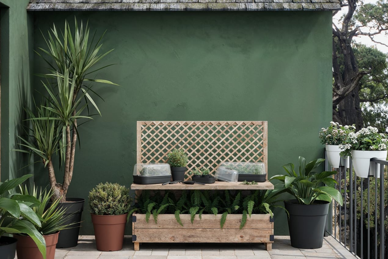 [object Object] image 2