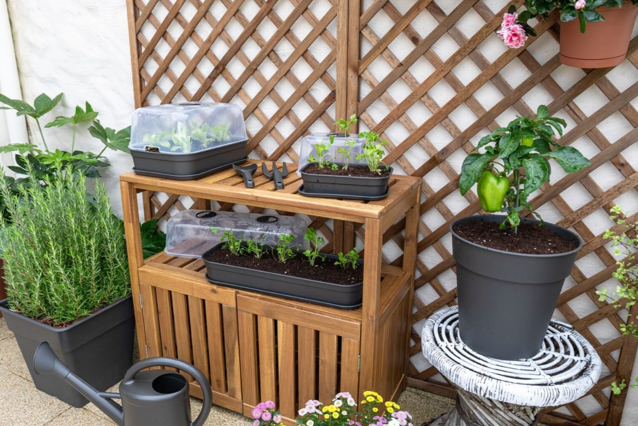 [object Object] image 3