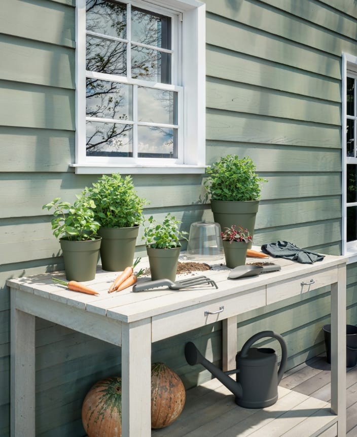 [object Object] image 2