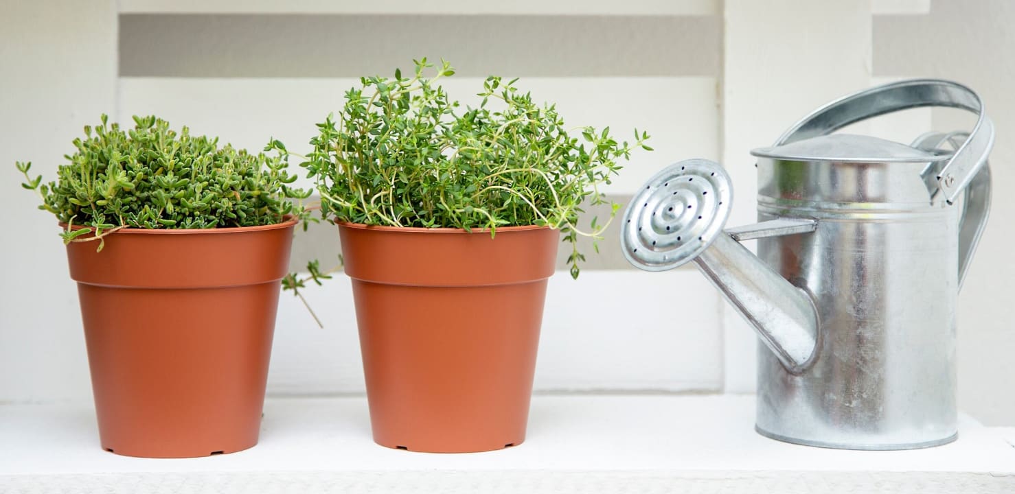 [object Object] image 1