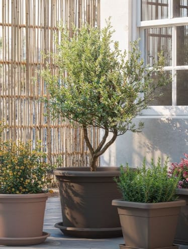 [object Object] image 1