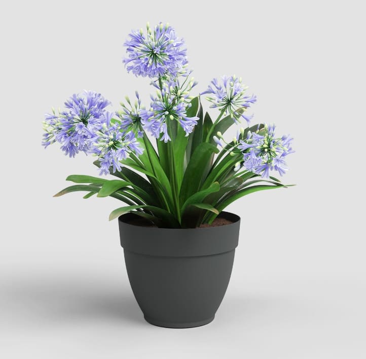 [object Object] image 0