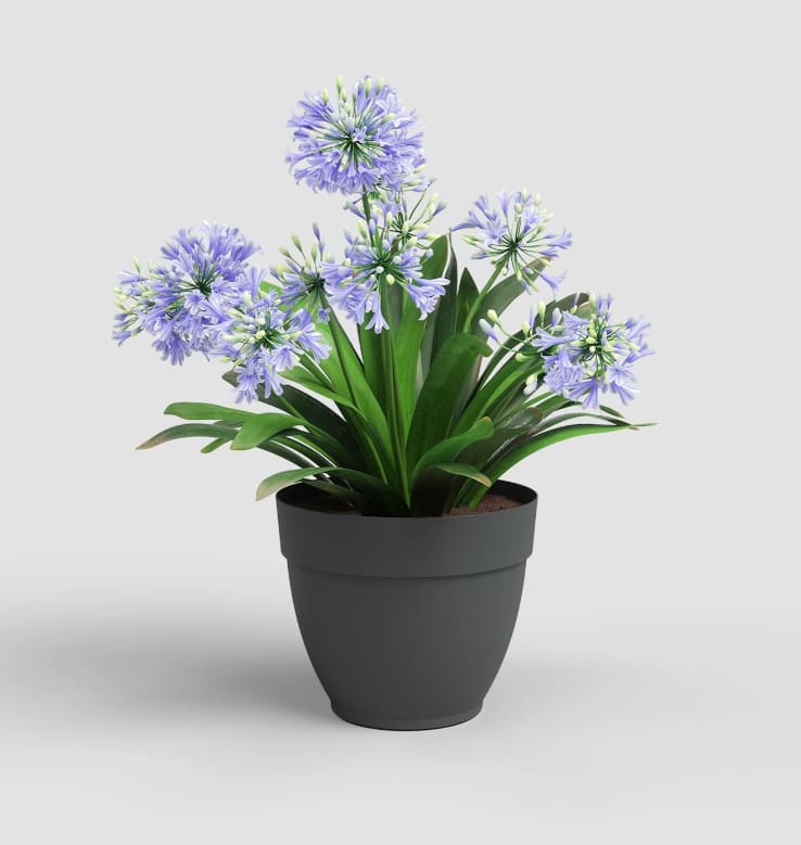 [object Object] image 0