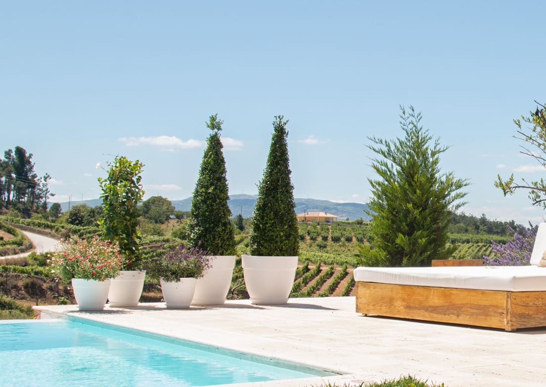 [object Object] image 1