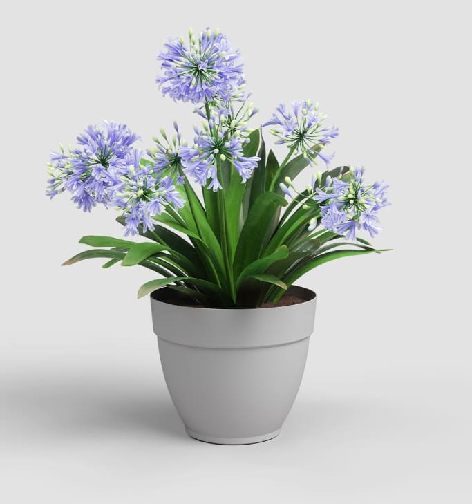 [object Object] image 0