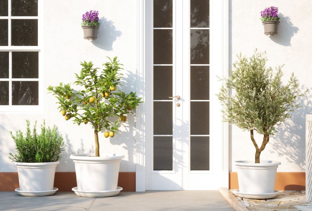 [object Object] image 1