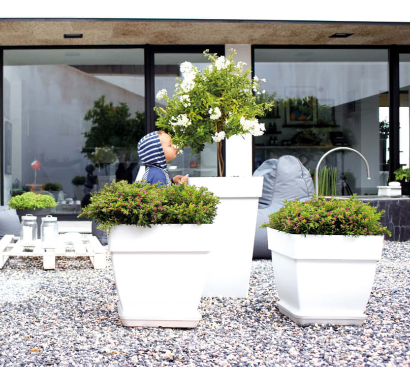 [object Object] image 1