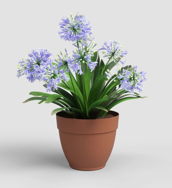 [object Object] image 0