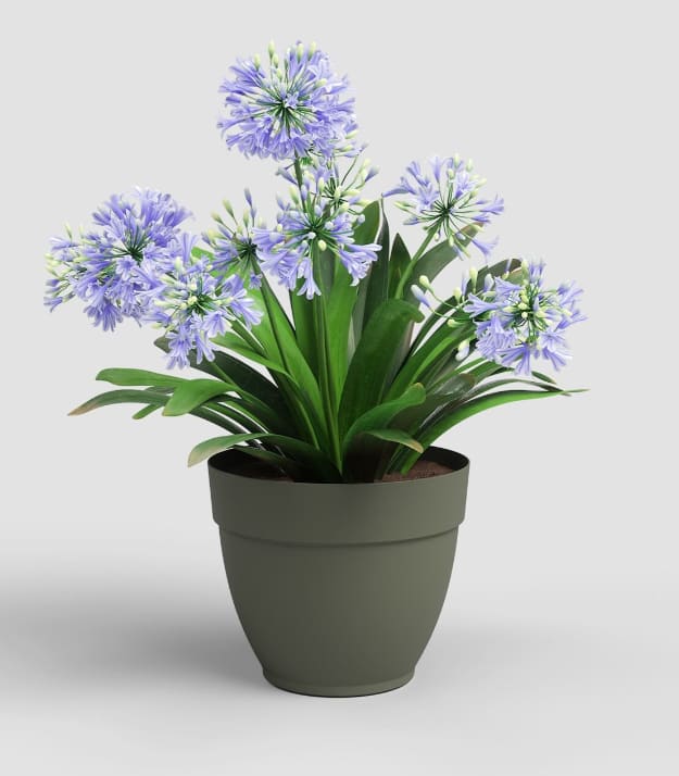 [object Object] image 0