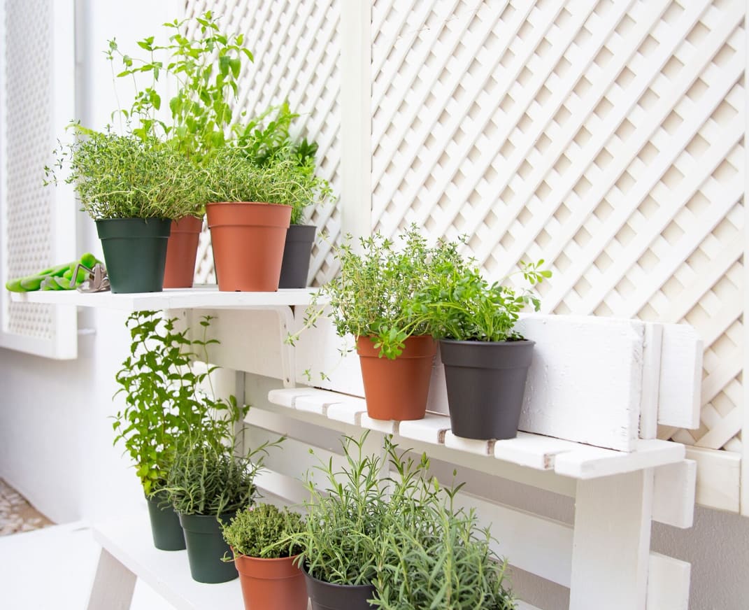 [object Object] image 0