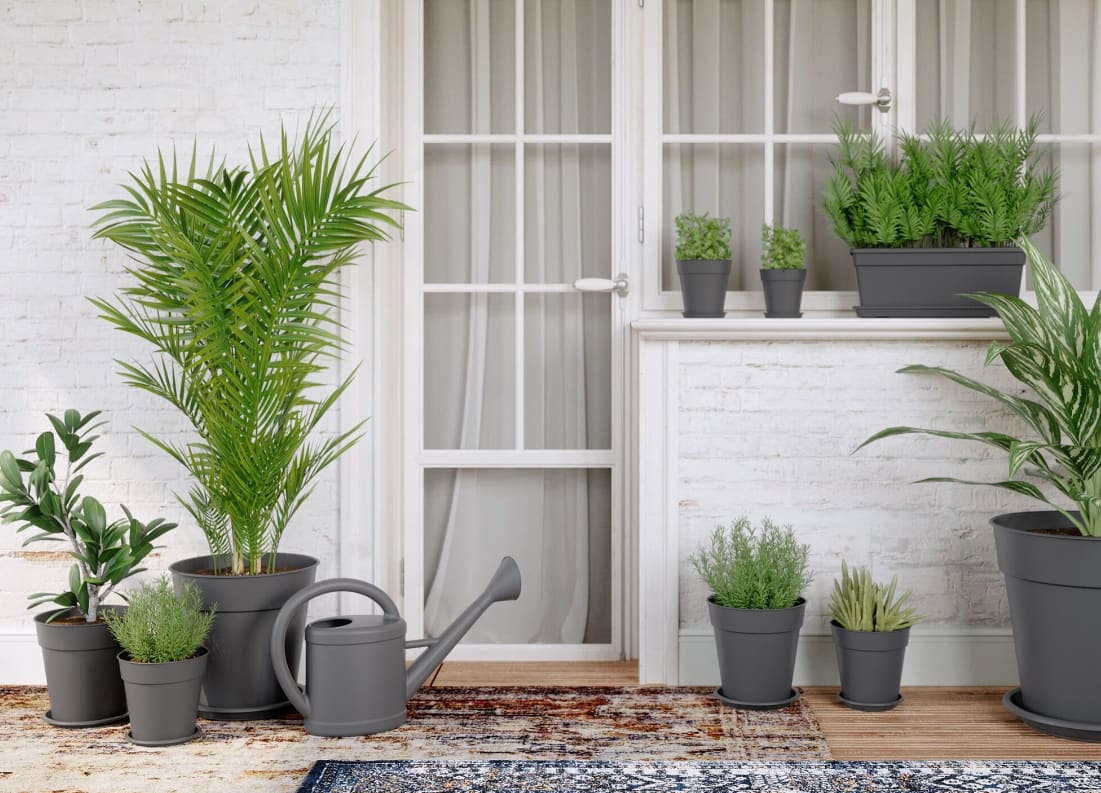 [object Object] image 2