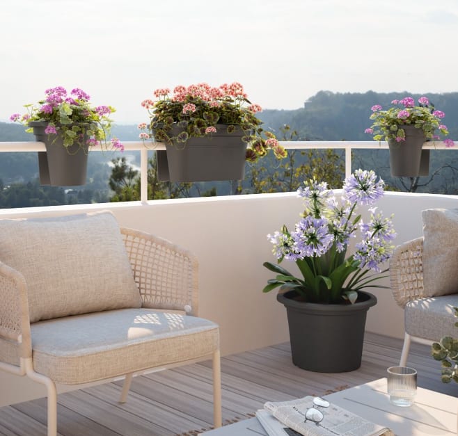 [object Object] image 1