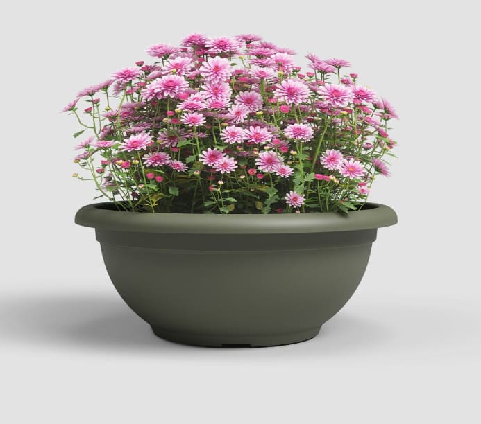 [object Object] image 0