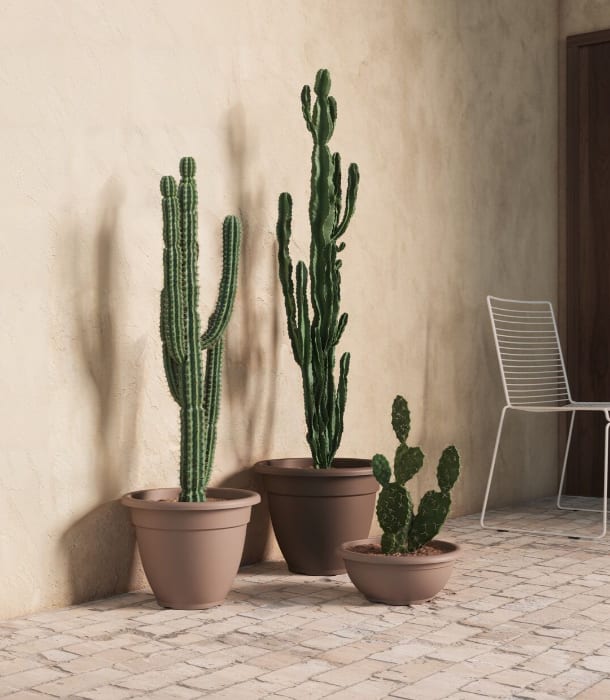 [object Object] image 2