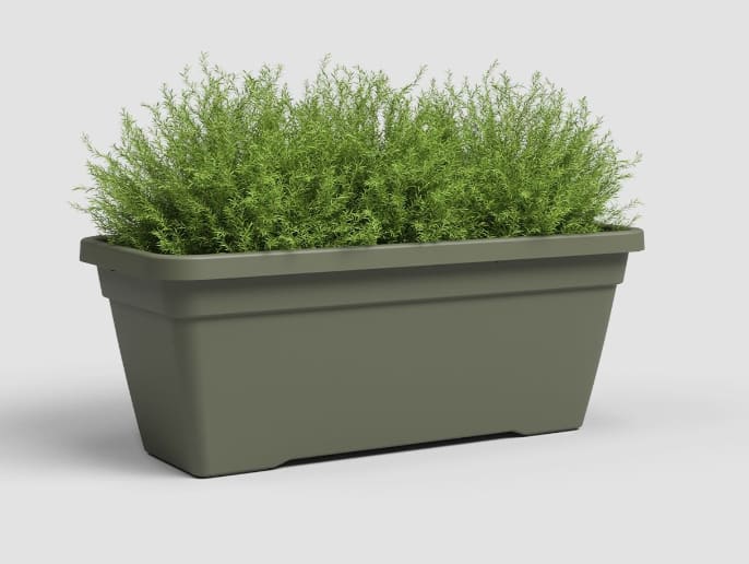 [object Object] image 0