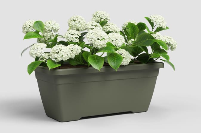 [object Object] image 2