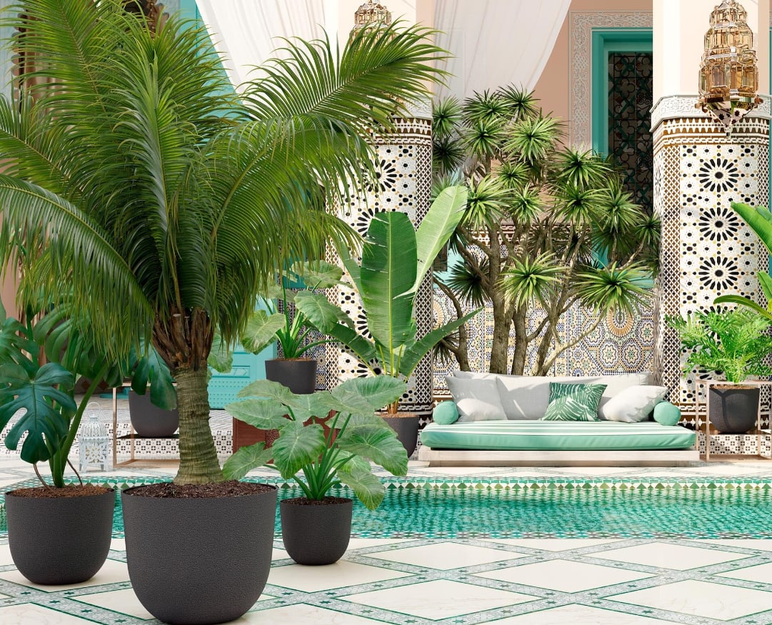 [object Object] image 1