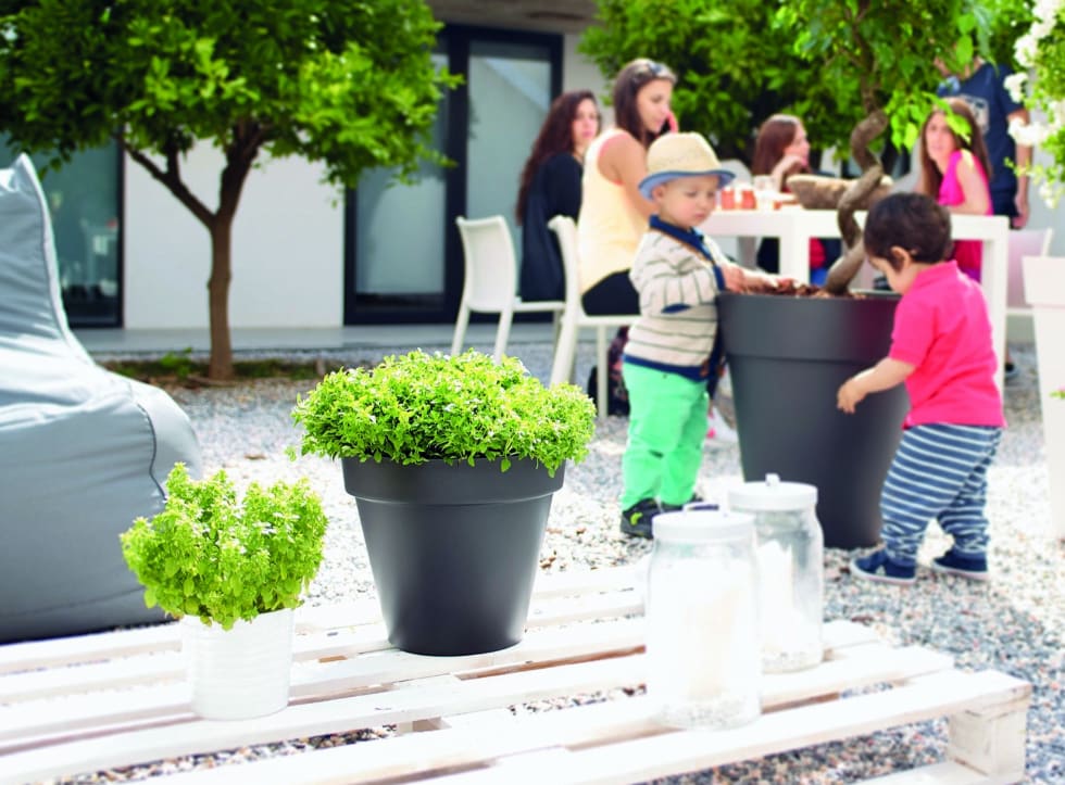 [object Object] image 1