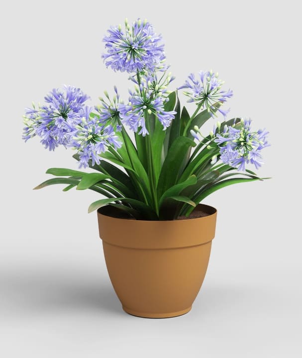 [object Object] image 0