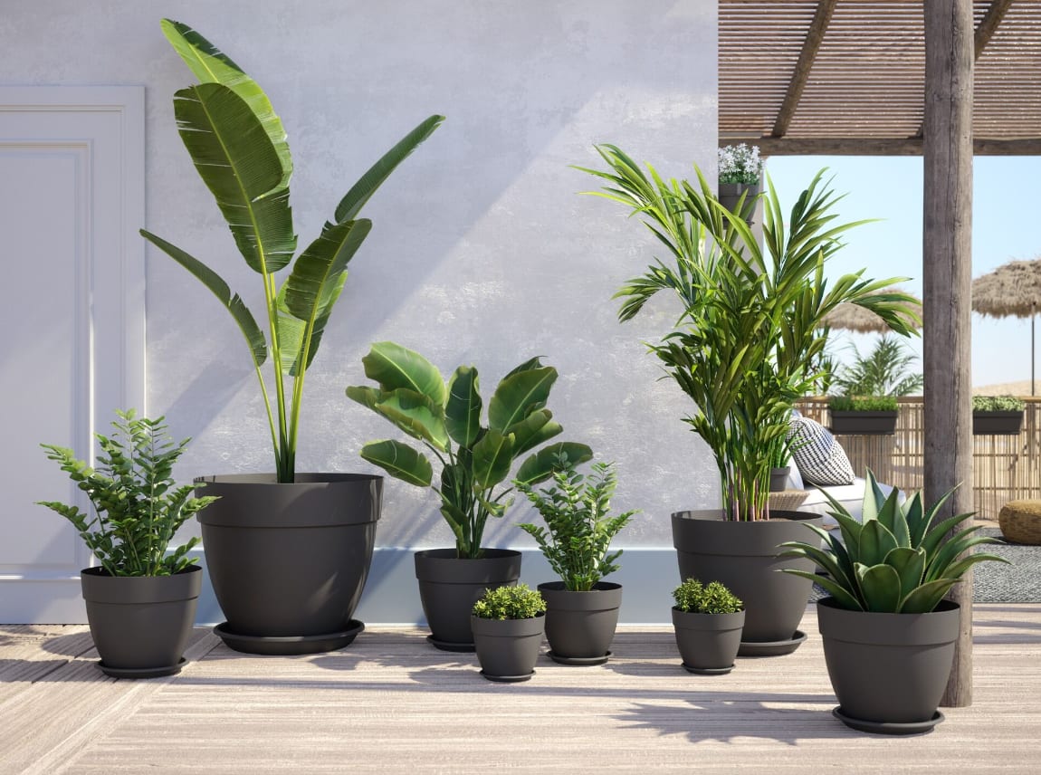 [object Object] image 2