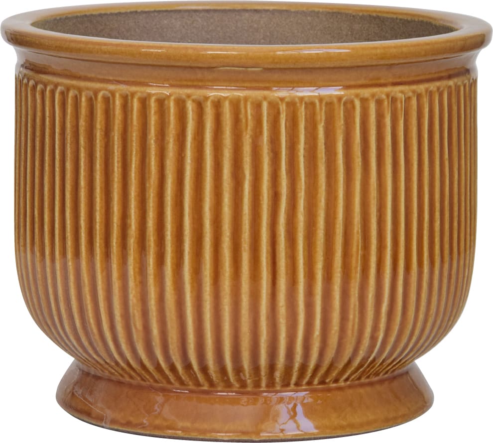 [object Object] image 3