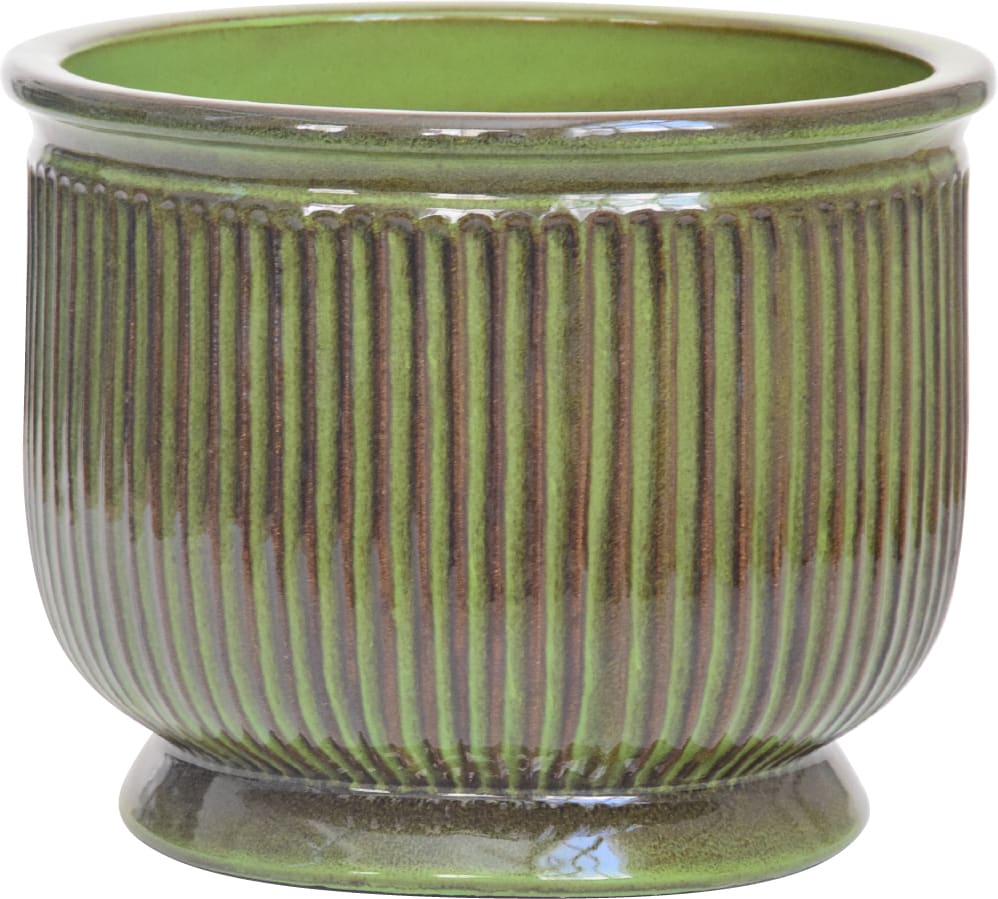 [object Object] image 4