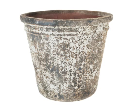 [object Object] image 1