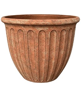 [object Object] image 0