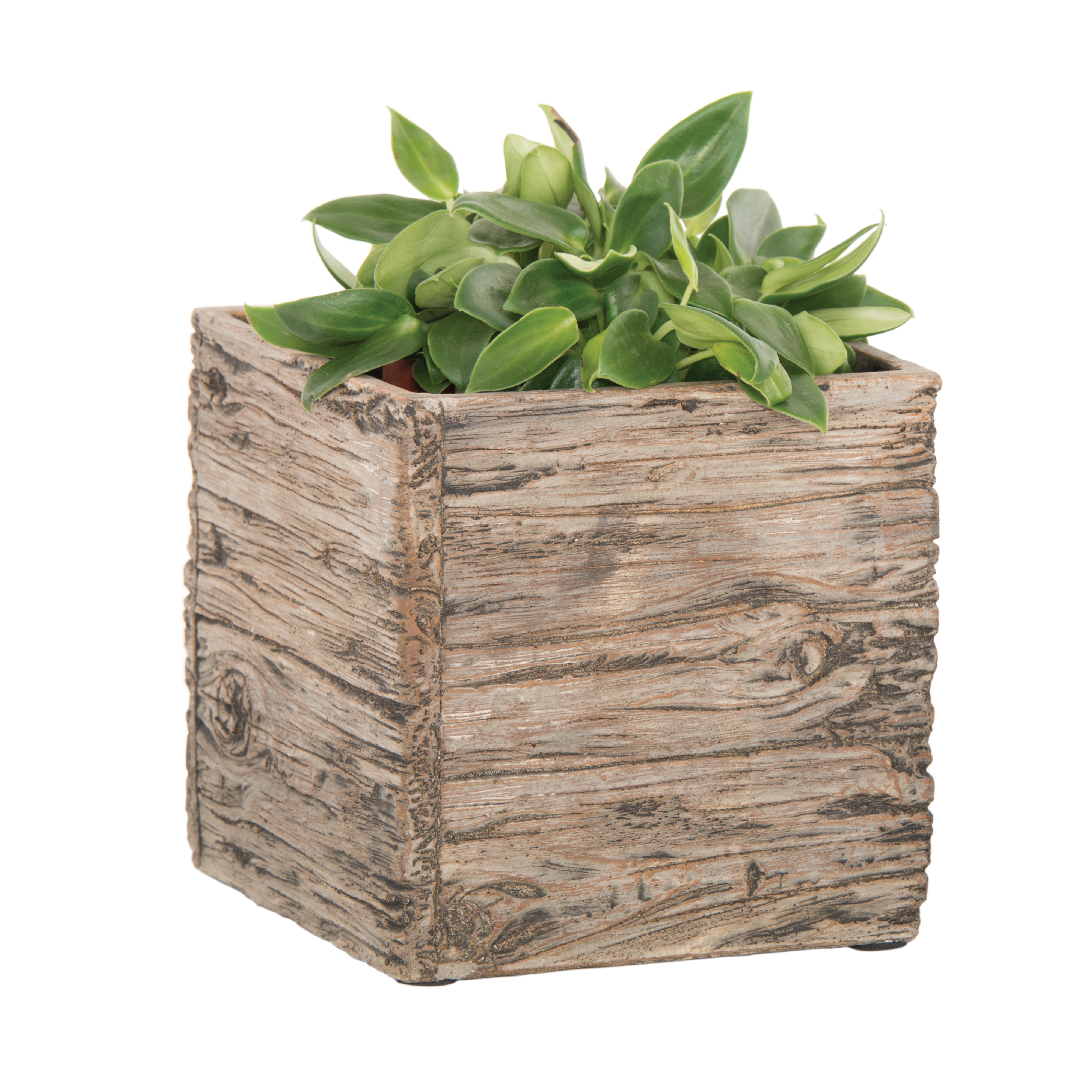 15cm Driftwood Indoor Pot | Woodlodge Products