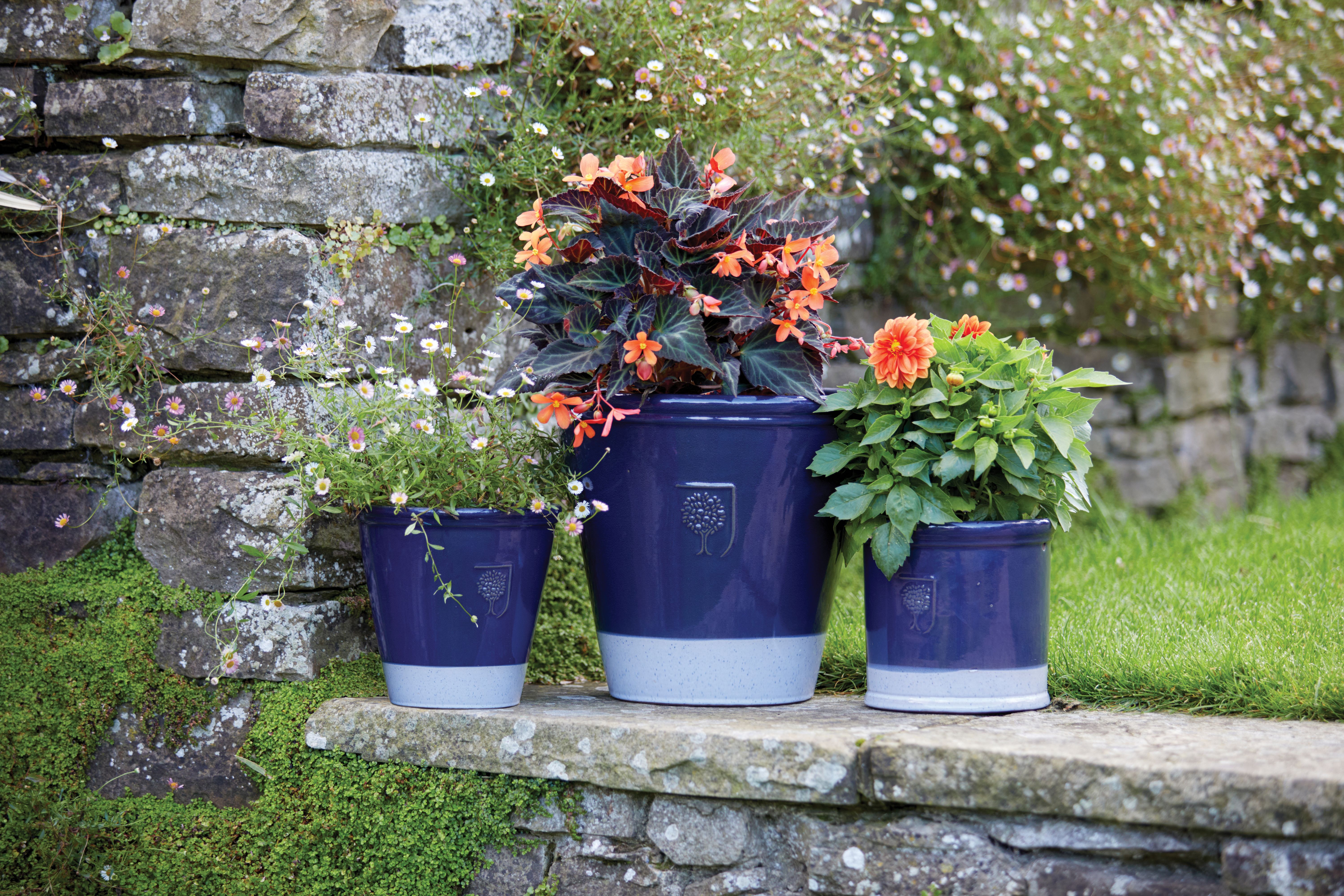 SRL BRIMTYPE PLANT POT-S valiem カタチ製作所 BRIDGE-lifestyle-06.jpg