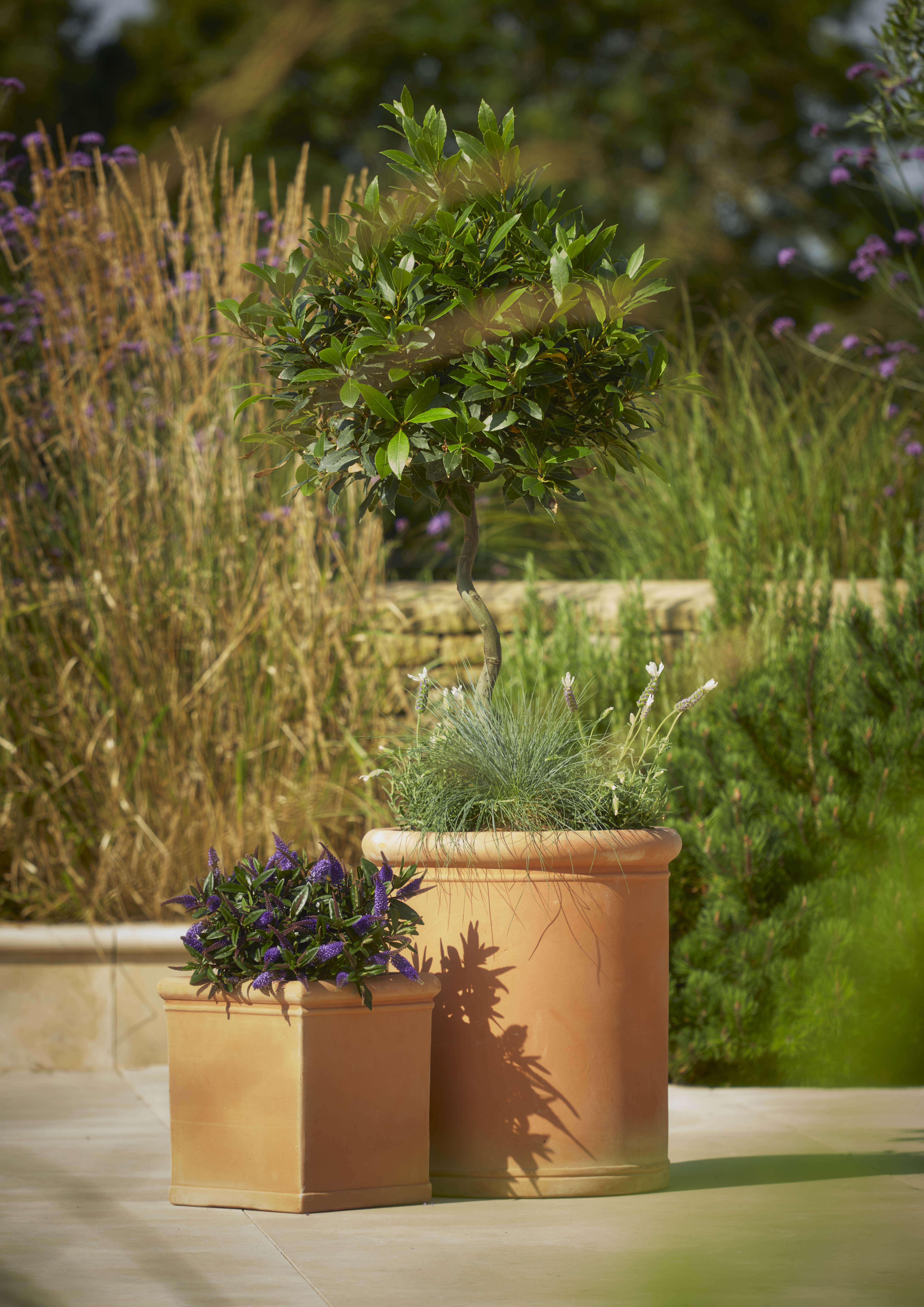 Saxon Tall | Woodlodge Products