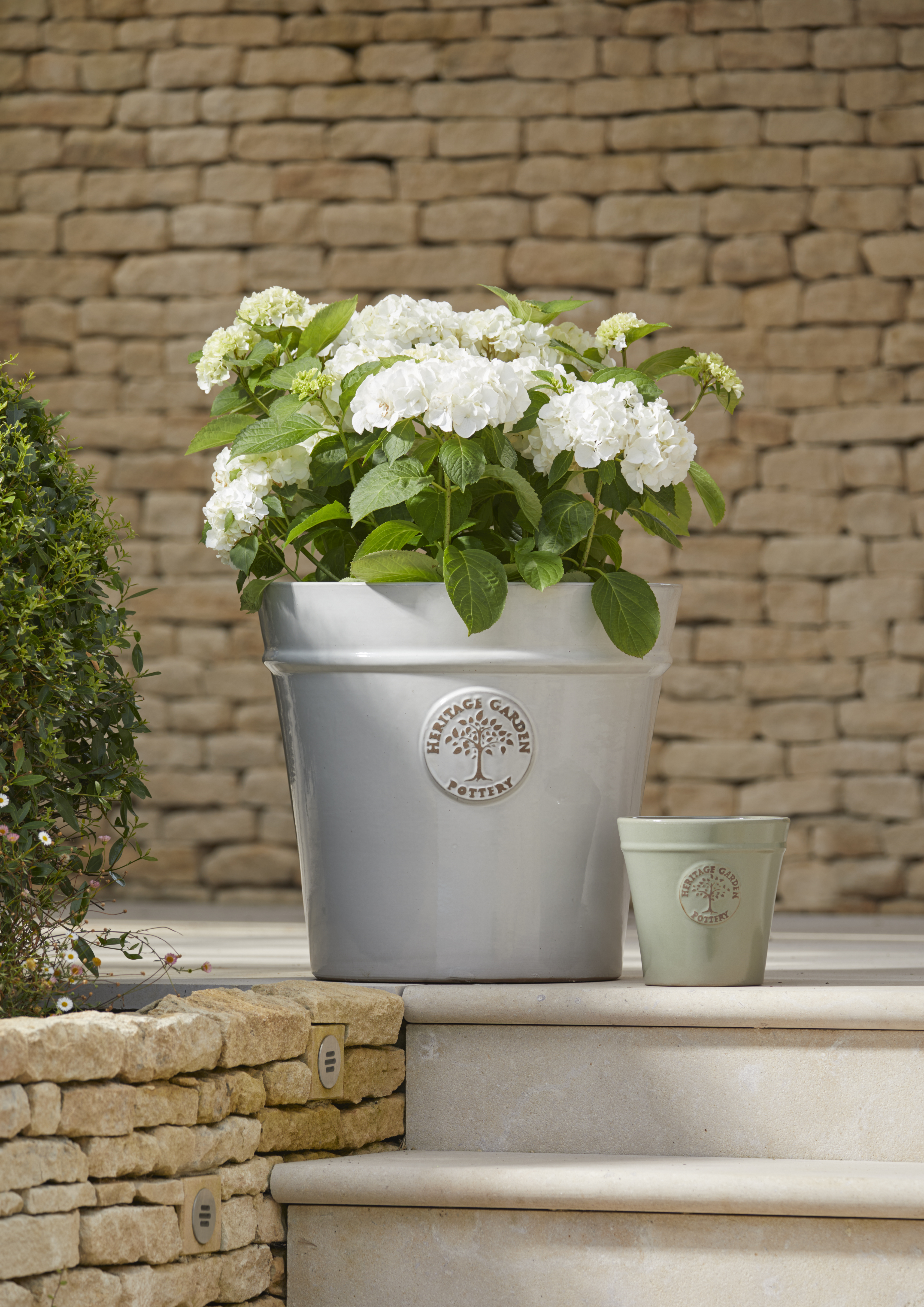 zz plant pot ZZ Plant  Camelback Flowershop