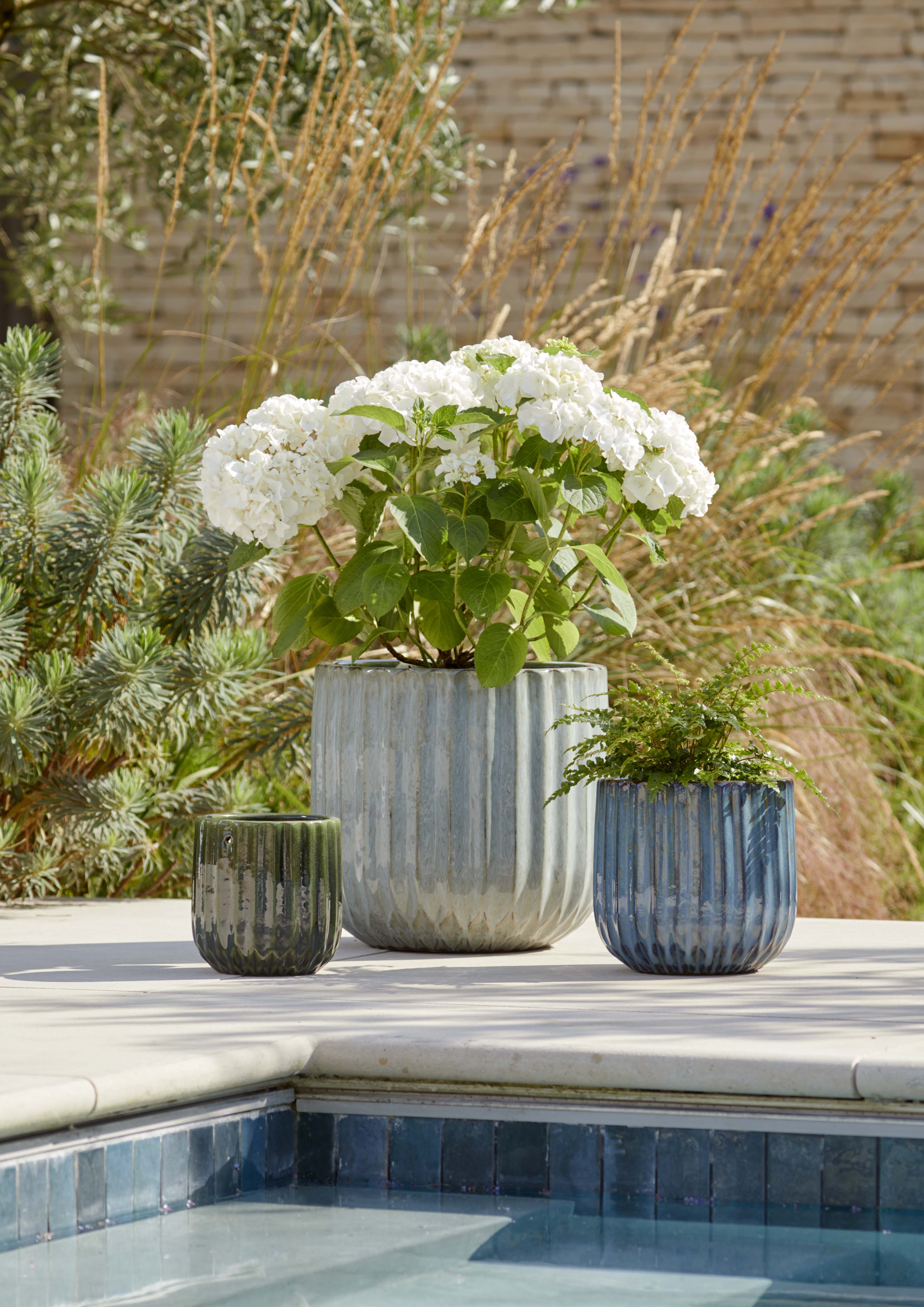 イギリス WOODLODGE ウッドロッジ 植木鉢 シリンダー型・塗り鉢　ブルーベル柄　直径30cm RHS FLORA GL Bluebell30 直径24cmWOODLODGE ウッドロッジ 植木鉢 シリンダー型・塗り鉢 ブルー