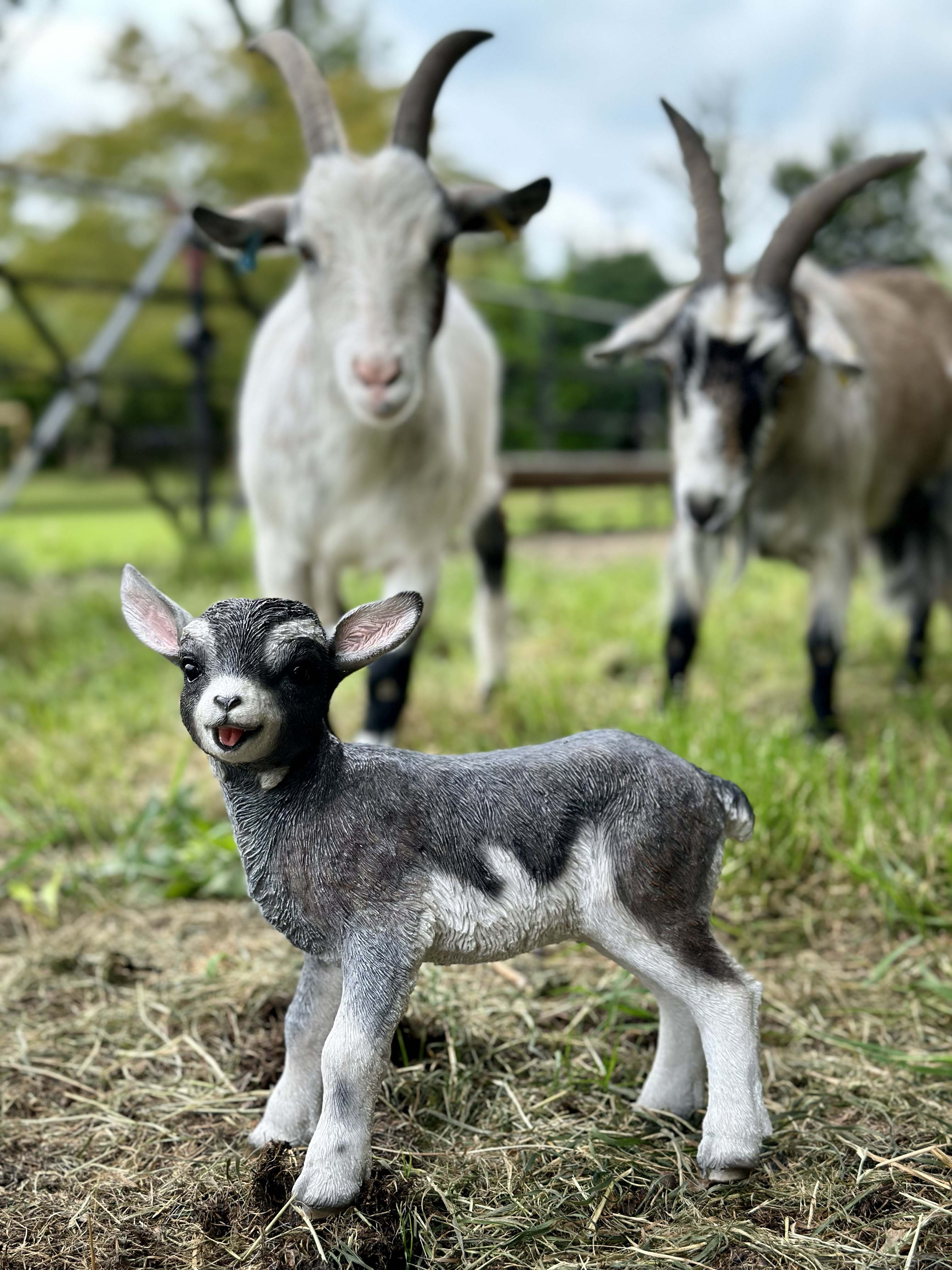Goat Resin Resin Goat Kid | Woodlodge Products