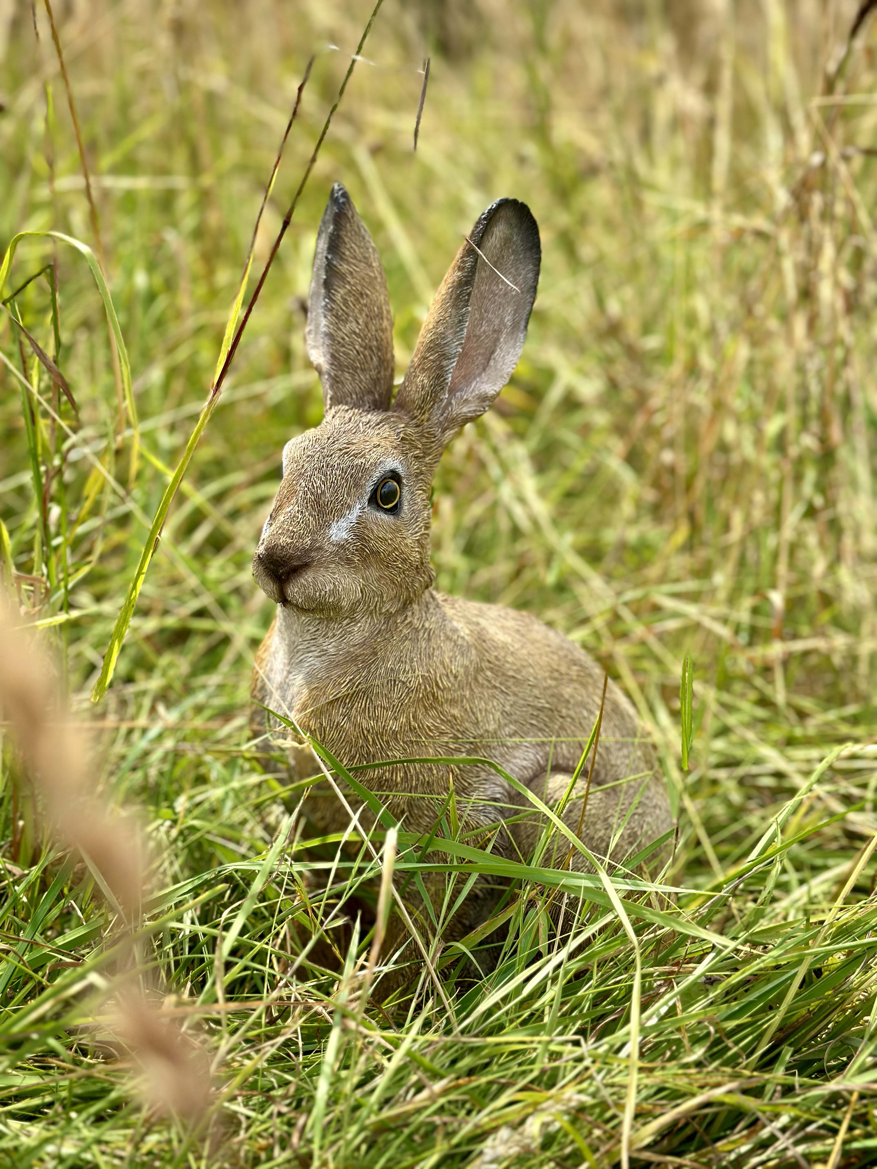 Resin Hare | Woodlodge Products