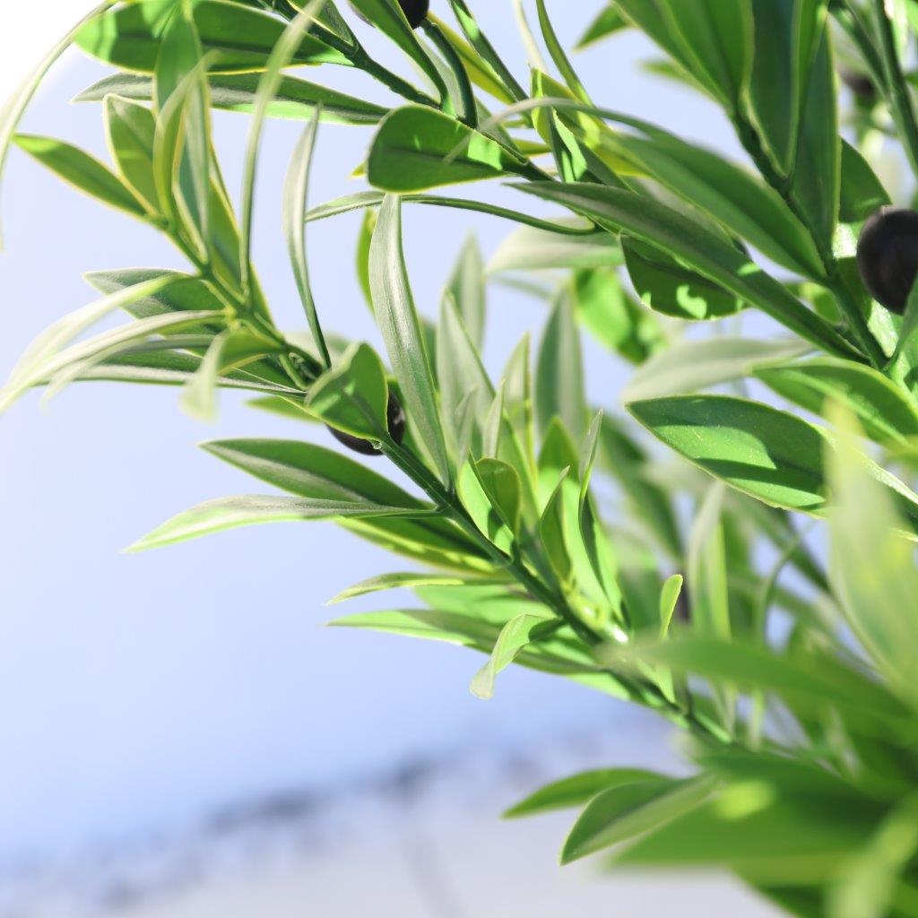 120cm Potted Olive Tree | Woodlodge Products