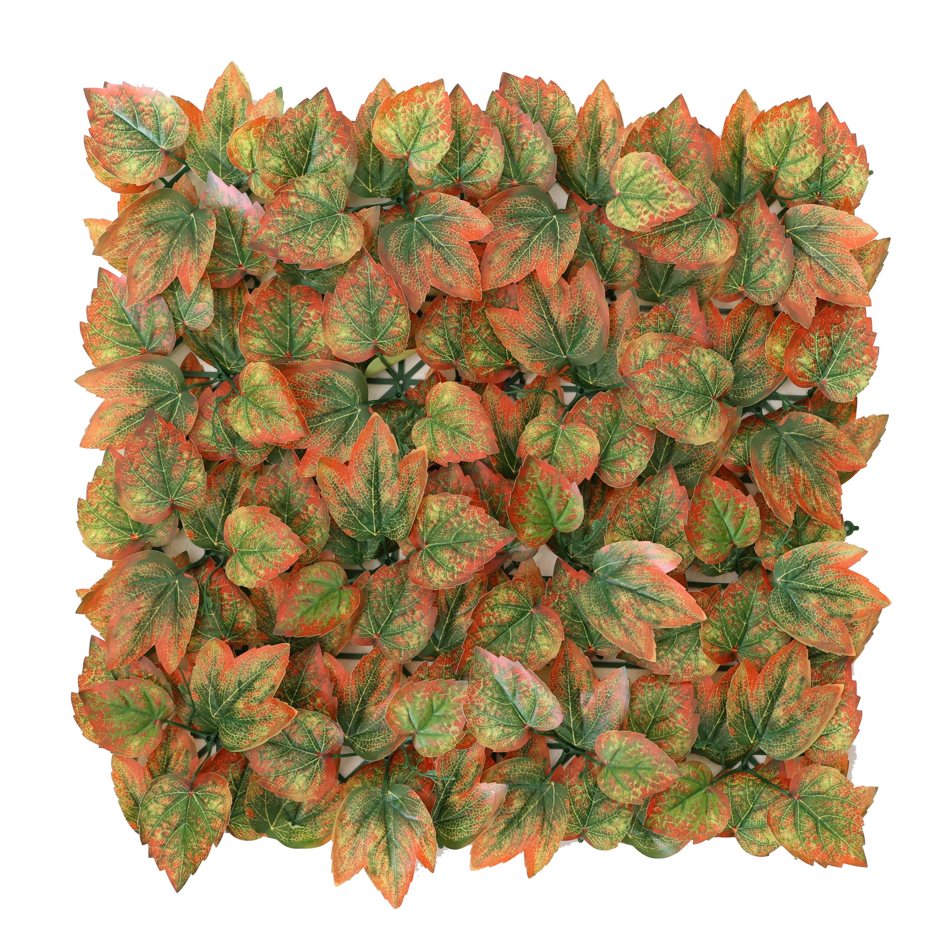 50x50cm Aut Vir Creeper Panel | Woodlodge Products