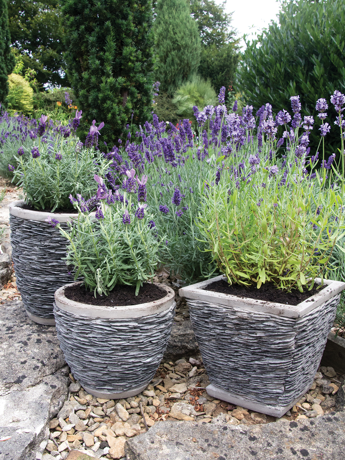 Woodlodge 37cm Slate Trough Planter main image 0