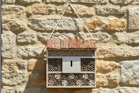 Insect Hotel